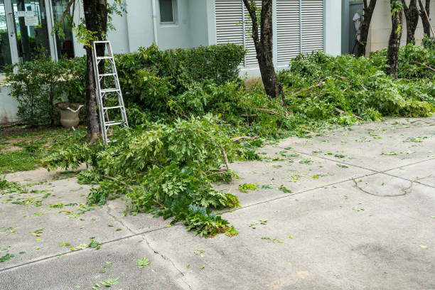 Best Tree Health Inspection  in Libertyvle, IL